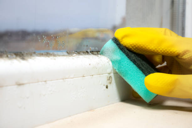 Mold Remediation for Vacation Homes in Copperton, UT